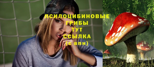 молекула духа Алексин